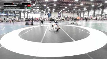 85 lbs Rr Rnd 1 - Greyson Brown, Team Shutt Dethrone vs Cashton Treuthardt, Team RJN Green