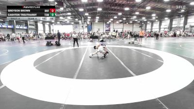 85 lbs Rr Rnd 1 - Greyson Brown, Team Shutt Dethrone vs Cashton Treuthardt, Team RJN Green