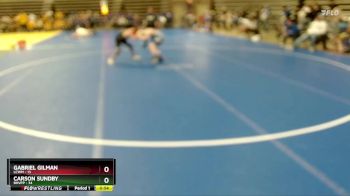 102 lbs Semis & 1st Wrestleback (8 Team) - Gabriel Gilman, LCWM vs Carson Sundby, BHVPP