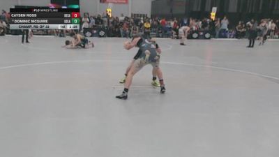 138 lbs Champ. Rd Of 32 - Dominic McGuire, Gorilla Lab vs Caysen Ross, Bear Cave
