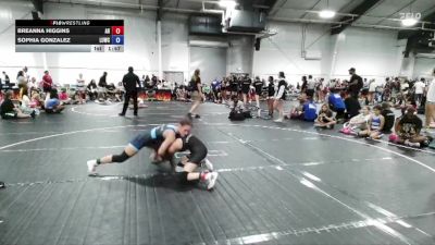 110 lbs Round 2 (4 Team) - Sophia Gonzalez, Level Up Wrestling Center vs Breanna Higgins, AR-15