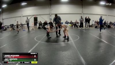 96 lbs Round 3 (4 Team) - Joey Dentato, Buxton vs James McQueen, PA Alliance