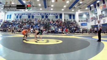 113 lbs 3rd Place Match - Jaxten Deweese, Tinora vs Rooney Olmedo, Dowagiac