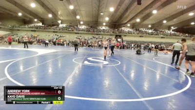 100 lbs Quarterfinal - Andrew York, Terminator Wrestling Academy-AAA  vs Kayd Davis, Harrisonville Youth Wrestling Club-AAA