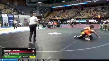 160 lbs Quarterfinal - Dominic Cahalan, Kirksville vs Jake Anthonysz, Cassville