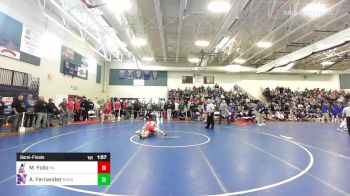 132 lbs Semifinal - Michael Follo, Pinkerton Academy vs Anthony Fernandez, Nashua South
