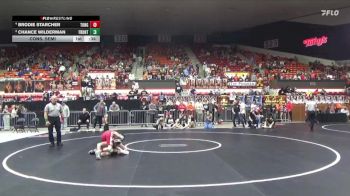 113 lbs Cons. Semi - Brodie Starcher, Tonganoxie Hs vs Chance Wilderman, Frontenac Hs