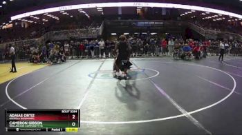 113 3A Semifinal - Adaias Ortiz, Osceola (Kissimmee) vs Cameron Gibson, Wellington Community Hs