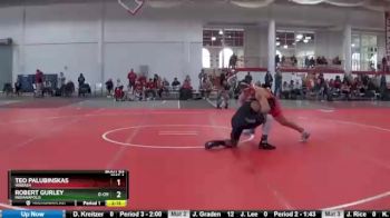 184 lbs Champ. Round 1 - Robert Gurley, Indianapolis vs Teo Palubinskas, Wabash