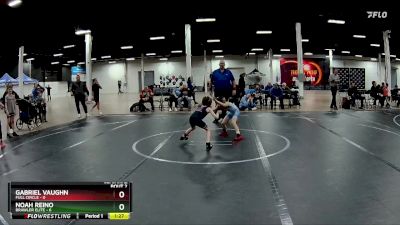 52 lbs Semis (4 Team) - Gabriel Vaughn, Full Circle vs Noah Reino, Brawler Elite