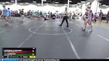 138 lbs Round 3 (8 Team) - Ty Morrison, D3PRIMUS vs Cameron Cannaday, PA Alliance White