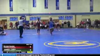 285 lbs Cons. Round 1 - Jarrell Carey, Concordia University Wisconsin vs Elijah Olson, University Of Chicago