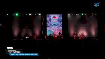Island Cheer - Tiny Turtles [2025 L1 Tiny - Novice - Restrictions - D2 Day 1] 2025 The Northeast Regional Summit