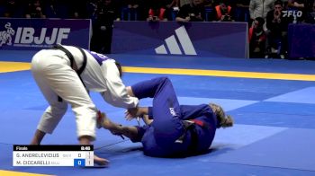 GABRIELA ANDRELEVICIUS PEREIRA vs MARGOT CICCARELLI 2024 European Jiu-Jitsu IBJJF Championship