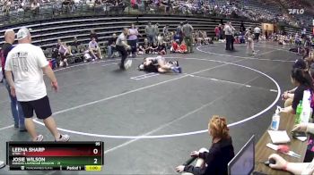 95 lbs Round 4 (6 Team) - Josie Wilson, Kansas Lavendar Dragon vs Leena Sharp, Utah