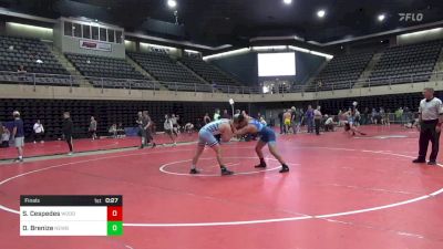 177 lbs Final - Sergio Cespedes, Woodbridge vs Drake Brenize, Newburg