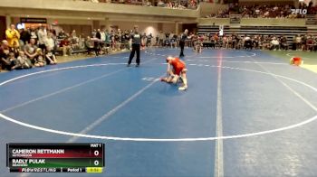65 lbs Cons. Round 2 - Radly Pulak, Brainerd vs Cameron Rettmann, Hutchinson
