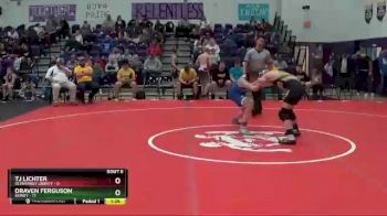 116 lbs Round 2 (6 Team) - TJ Lichter, Olentangy Liberty vs Draven Ferguson, Sidney