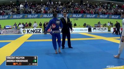 Vincent Nguyen vs Andrea Verdemare 2016 IBJJF Europeans