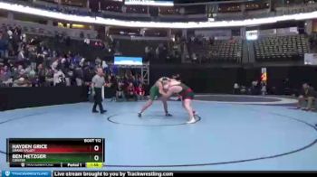 285 lbs Champ. Round 1 - Ben Metzger, Conifer vs Hayden Grice, Grand Valley