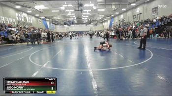 108 lbs Quarterfinal - Judd Morby, Sanderson Wrestling Academy vs McKay Hallman, Davis Wrestling Club