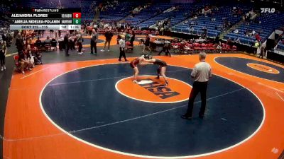 115 lbs 3rd Place Match - Amelia Nidelea-Polanin, Hampshire vs Alejandra Flores, Bolingbrook