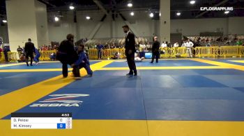 Diego Pelosi vs Michael Kimsey 2019 American National IBJJF Jiu-Jitsu Championship