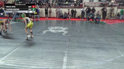 105_B lbs Final - Mack Apel, North Allegheny vs Carter Deeter, Southern Columbia