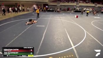 139 Championship Bracket Cons. Round 5 - Finn Bloomquist, Prior Lake vs Sebastian Castin, Apple Valley
