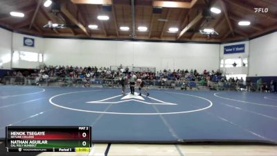 141 lbs Quarterfinal - Nathan Aguilar, Cal Poly Humbolt vs Henok Tsegaye, Skyline College