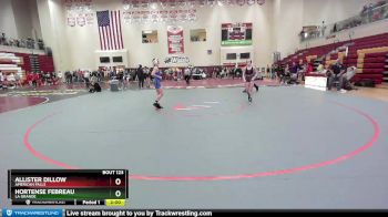 114 lbs Champ. Round 2 - Allister Dillow, American Falls vs Hortense Febreau, La Grande