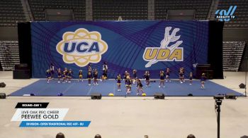 Live Oak Rec Cheer - PeeWee Gold [2024 Open Traditional Rec AFF - 8U Day 1] 2024 UCA Magnolia Regional