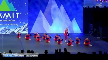 South Texas Strutters - Mini Elite Pom [2026 Mini - Premier - Pom - Small Finals] 2026 The Dance Summit
