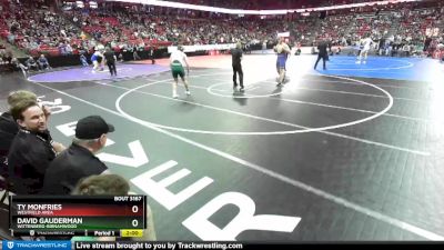 D3-285 lbs Semifinal - David Gauderman, Wittenberg-Birnamwood vs Ty Monfries, Westfield Area