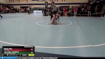 113 lbs Quarterfinal - Mitchell Murphy, Dubuque Hempstead vs Nate Fish, Linn-Mar