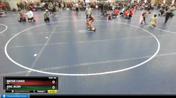 87 lbs Cons. Round 3 - Eric Bush, IL vs Bryer Caves, WI