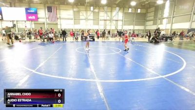 64 lbs Quarterfinal - Annabel Choo, TX vs Audio Estrada, SC