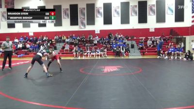 113 lbs Quarterfinal - Brandon Stein, Clarion-Goldfield-Dows vs Memphis Bishop, Benton Community