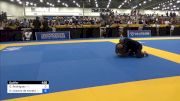 Daryl Rodriguez vs Raimundo Cesário De Almeida 2024 World Masters IBJJF Jiu-Jitsu Championship