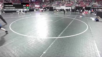 D1-120 lbs Cons. Round 1 - Cole Dziak, Marquette University vs Kade Parrish, Reedsburg Area