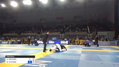 AARON MICHAEL JOHNSON vs MELOR STURUA 2019 Pan Jiu-Jitsu IBJJF Championship