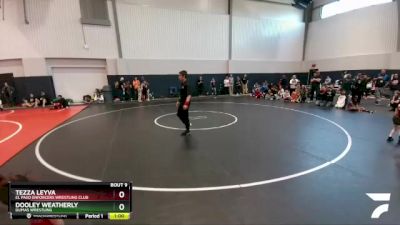 35 lbs Round 1 - Tezza Leyva, El Paso Enforcers Wrestling Club vs Dooley Weatherly, Dumas Wrestling