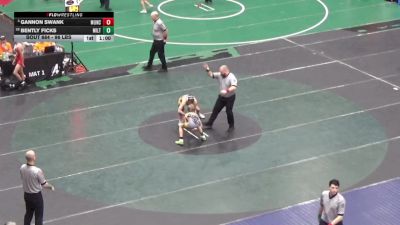 96 lbs Consi Of 32 #2 - Gannon Swank, Muncy vs Bently Ficks, Milton