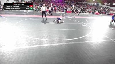110 lbs Champ. Round 2 - Tristian Andrews, Monona Grove/McFarland Wrestling Club vs Carson Lehman, Warrior Youth Wrestling