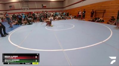 142 lbs Round 2 (6 Team) - Brian Llamas, Kansas Silver vs Rocco Godinez, Big Dog Ranch