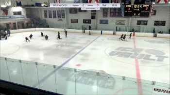 Replay: Home - 2024 CP Dynamo U10 vs Hitmen U10 Minor | Jan 20 @ 10 AM