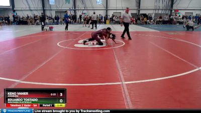 Elite 125 lbs Champ. Round 1 - Eduardo Tostado, Wisconsin-Platteville vs Keno Vanier, Augsburg