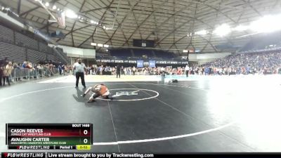 120 lbs Cons. Semi - Avaughn Carter, Anacortes Hawkeyes Wrestling Club vs Cason Reeves, Jungle Cat Wrestling Club