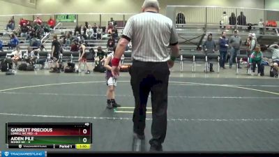 49 lbs Round 3 (4 Team) - Aiden Pile, Romeo WC vs Garrett Precious, Lowell WC Red