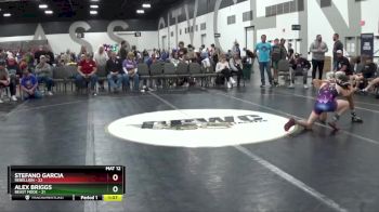 100 lbs Quarterfinals (8 Team) - Alex Briggs, Beast Mode vs Stefano Garcia, Rebellion